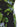 Victoria Beckham Victoria Beckham Floral Printed Dress