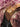 Pierre Louis Mascia Pierre Louis Mascia Chemises Violet