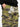 Icecream Icecream Cotton cargo trousers