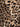 Dolce & Gabbana Dolce & Gabbana-Leopard-print tailored shorts.