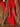 Ugg UGG Tasman Lace Slippers