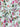 Samantha Sung Samantha Sung Audrey cotton midi dress