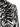 Dolce & Gabbana Dolce & Gabbana Zebra Shirt
