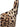 Dolce & Gabbana Dolce & Gabbana Leopardo Bustier Top