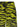 The Attico The Attico Il Primo Bagno Pants