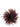 Gianluca Capannolo Gianluca Capannolo Feather Pin
