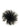 Gianluca Capannolo Gianluca Capannolo Feather Pin