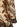 Farm Rio Farm Rio Majestic Garden Sand Dress