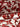 Dolce & Gabbana Dolce & Gabbana Essenza Handbag