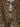 Ganni Ganni Leopard Poplin Dress
