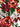 Dolce & Gabbana Dolce & Gabbana Floral Print Scarf