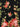 Dolce & Gabbana Dolce & Gabbana Bouquet Rose Scarf