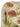 Carolina Herrera Carolina Herrera Floral Print Cardigan