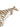 Max Mara Max Mara Silvana Bikini Briefs