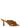 Stuart Weitzman Stuart Weitzman Soplaya Slides