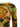 Etro Etro Double-layer Mesh