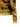 Etro Etro Double-layer Mesh